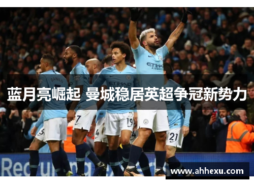 蓝月亮崛起 曼城稳居英超争冠新势力 蓝月亮崛起 曼城稳居英超争冠新势力